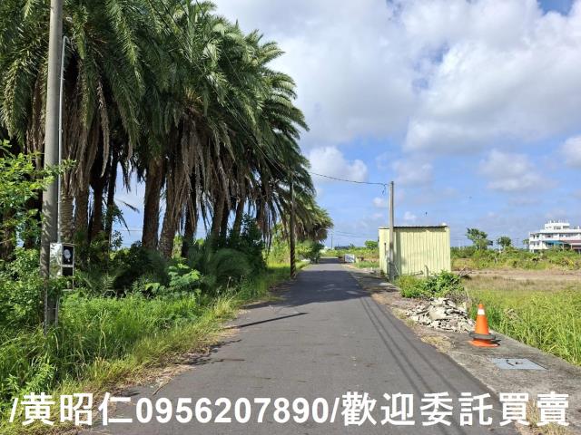 台南安南農地-8