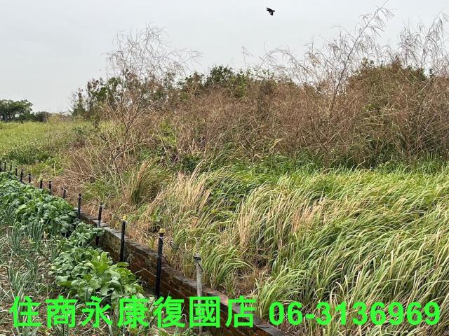 將軍建地-11