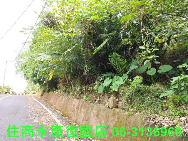 南化農地-6
