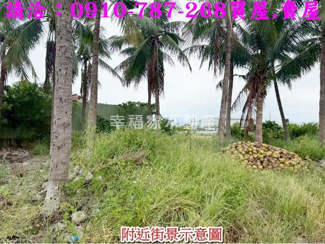 安南農地-11