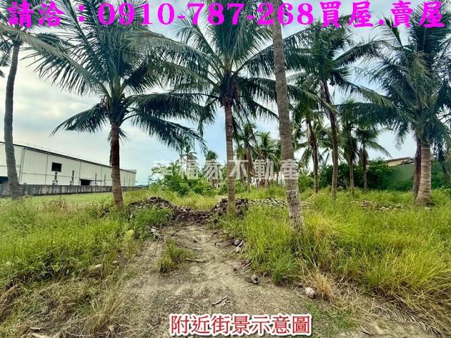 安南農地-13
