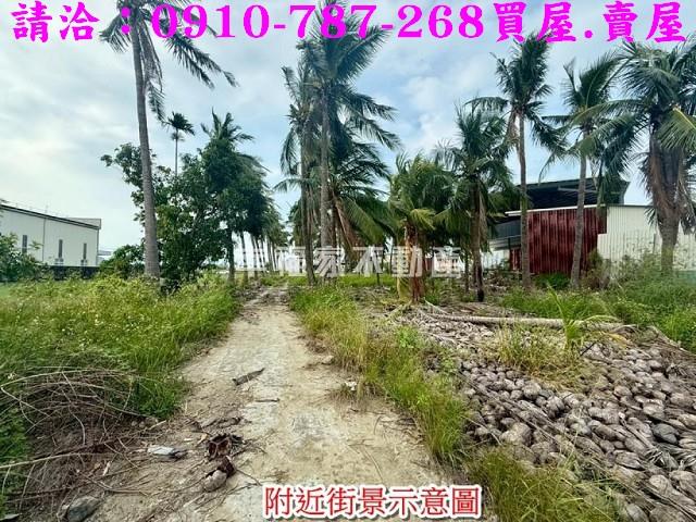 安南農地-15