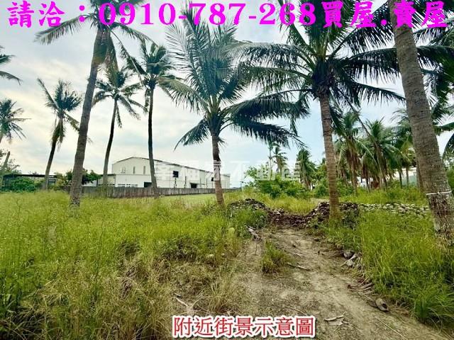 安南農地-9