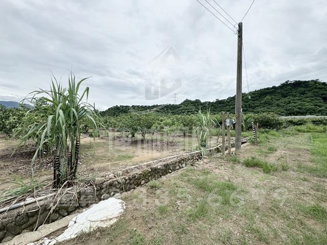 楠西農地-2