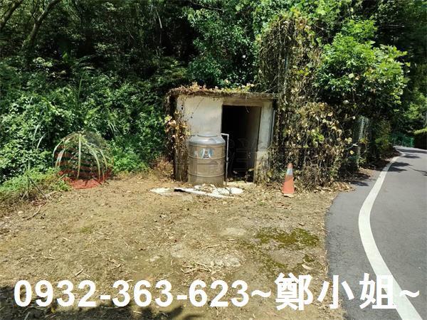 桃園農地-13