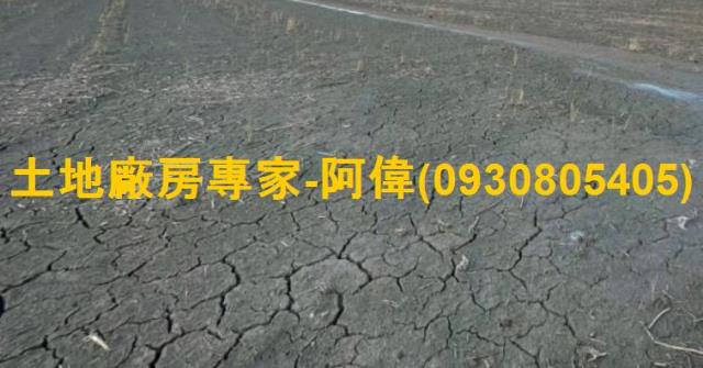 大寮農地-1