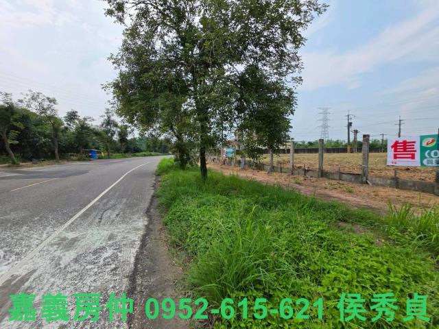 民雄農地-11