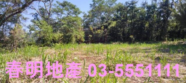新竹農地-3