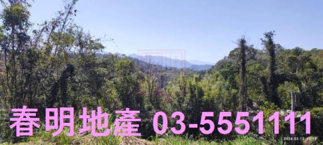 新竹農地-7