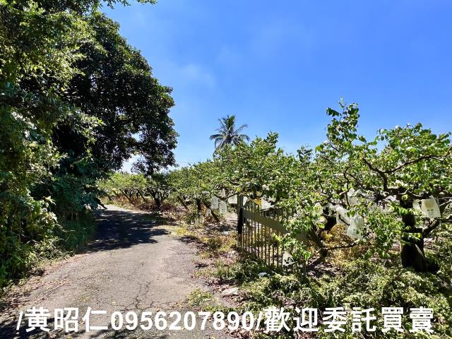 台南農地-6