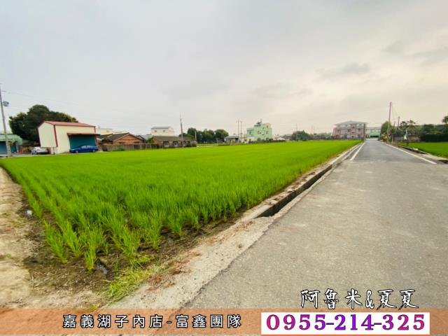 嘉義農地-2