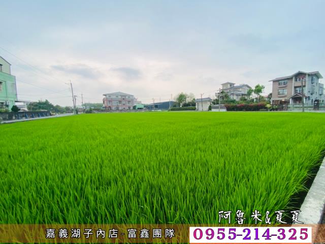嘉義農地-6