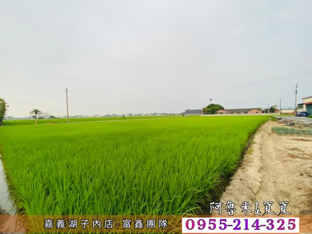 嘉義農地-7