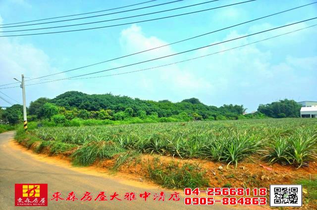 台中農地-5