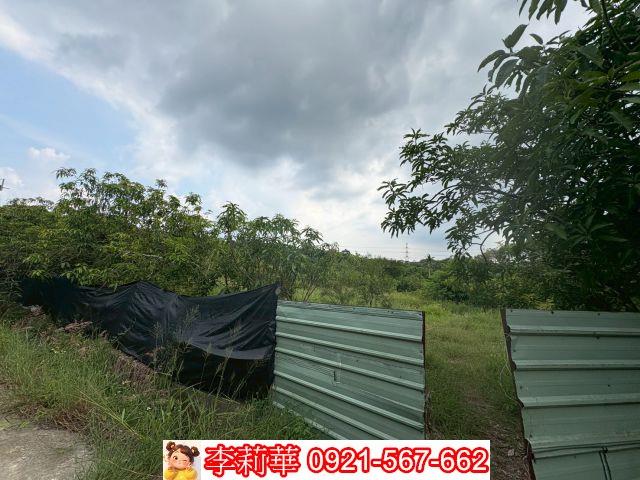 台南農地-4