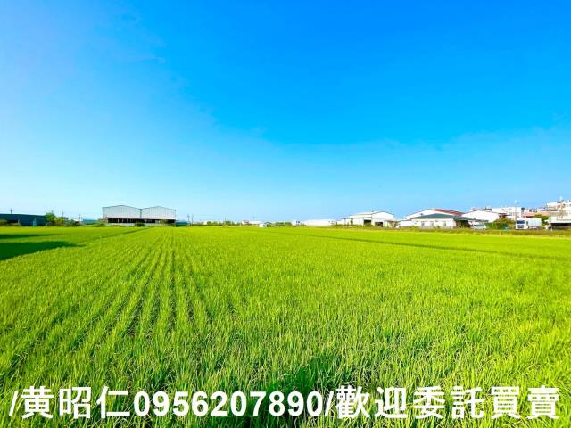 台南歸仁農地-3