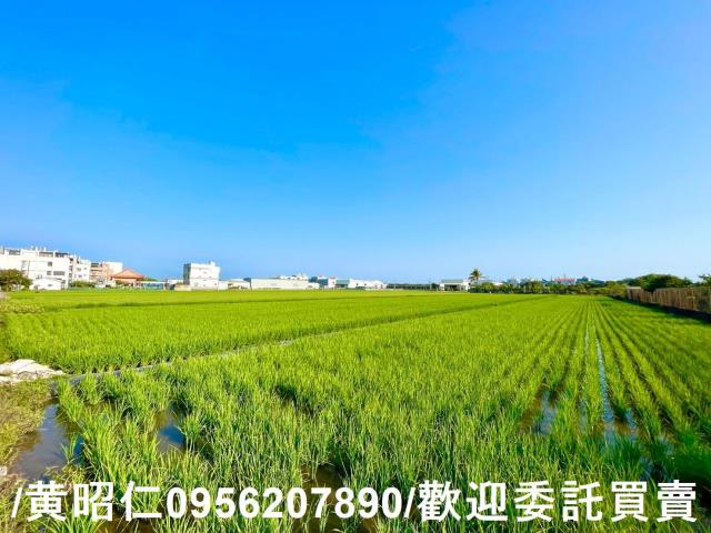 台南歸仁農地-6