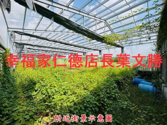 六甲農地-12