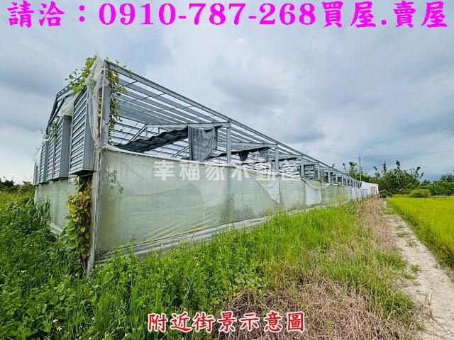 六甲農地-12