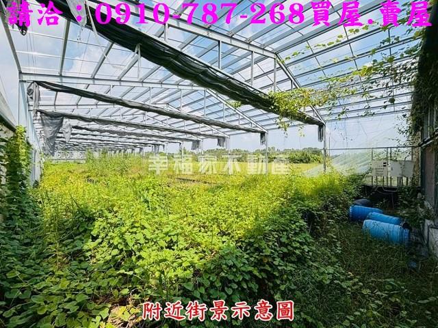 六甲農地-14