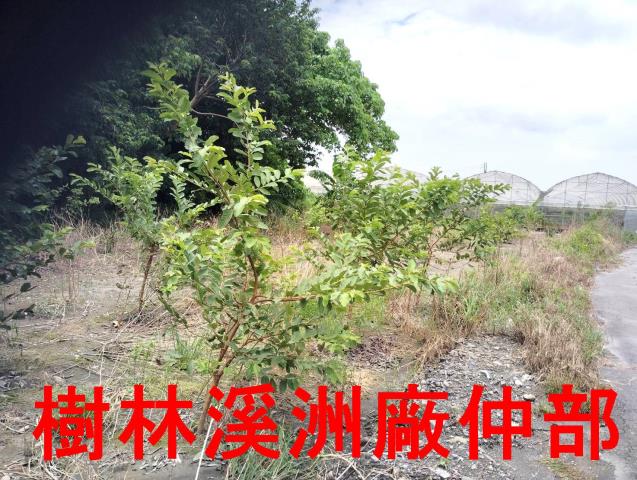 溪湖農地-3