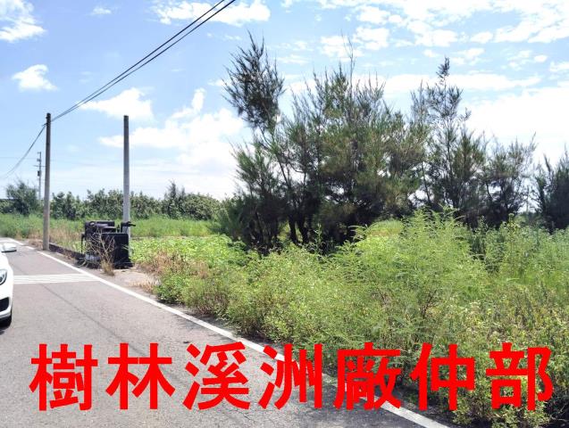 大城農地-1