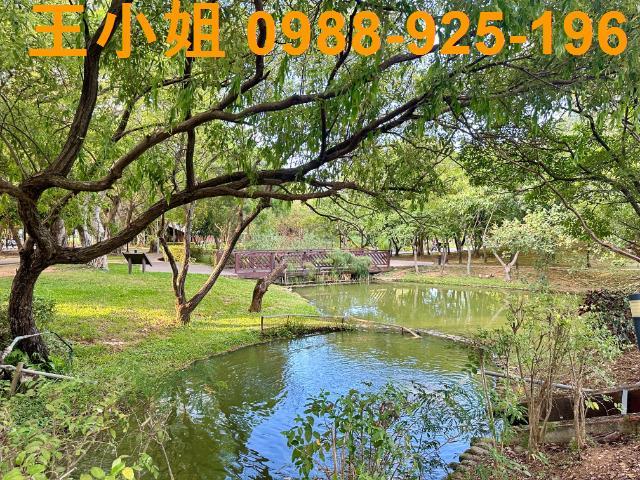 八德農地-1