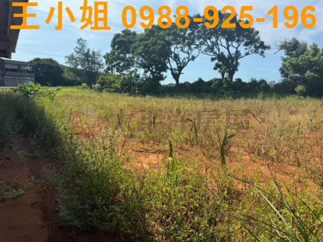 大園農地-14