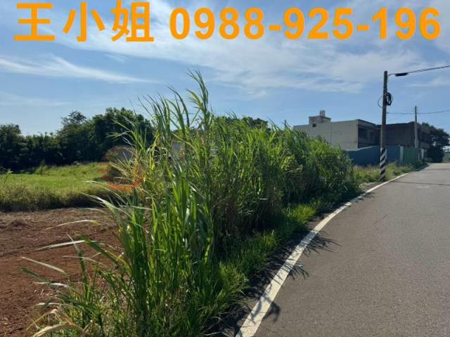 大園農地-1
