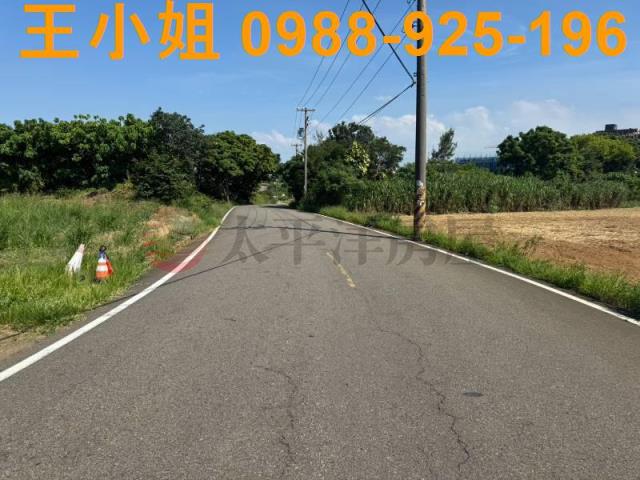 大園農地-3