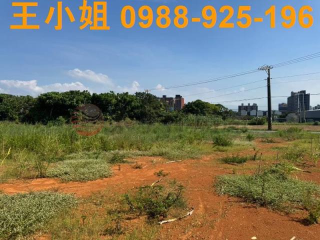 大園農地-4