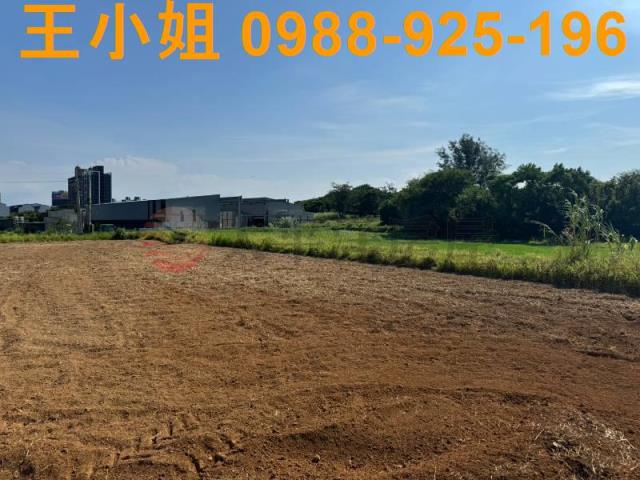 大園農地-6