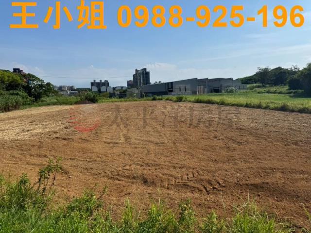 大園農地-7