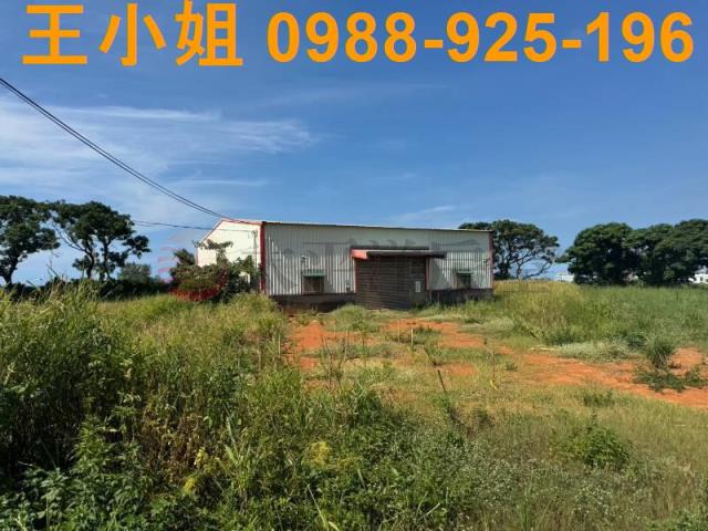 大園農地-9