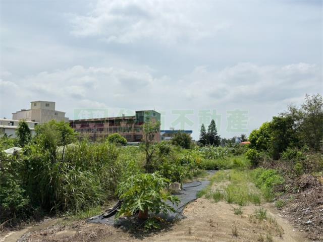 鳥松農地-13