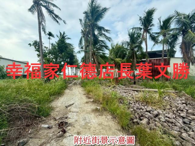 安南農地-13