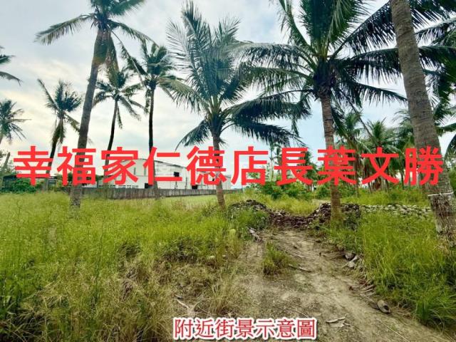 安南農地-5