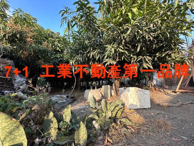 高雄農地-1