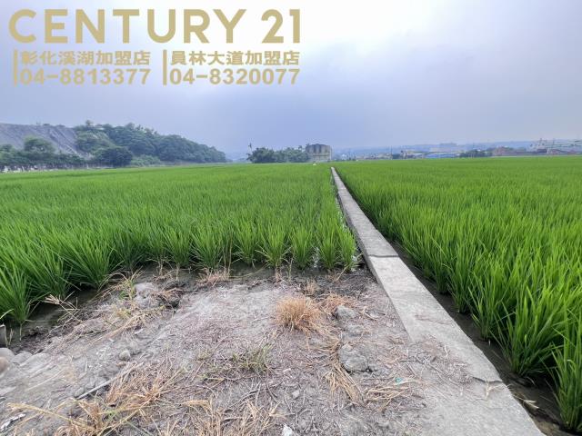 烏日農地-6
