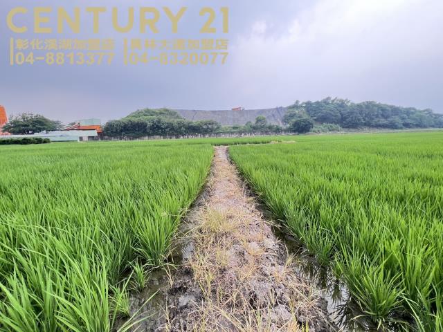 烏日農地-1