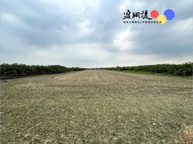 竹田農地-1