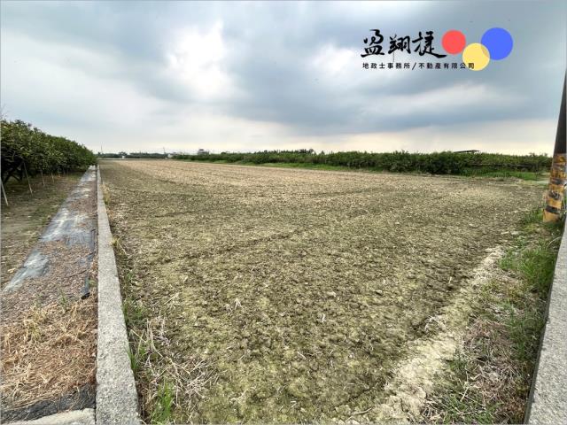 竹田農地-2