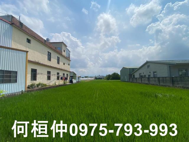 後龍農地-3
