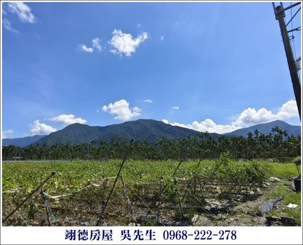高樹農地-2