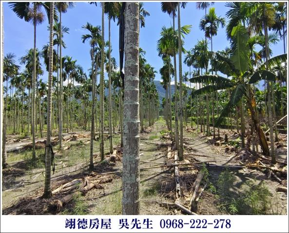 高樹農地-4