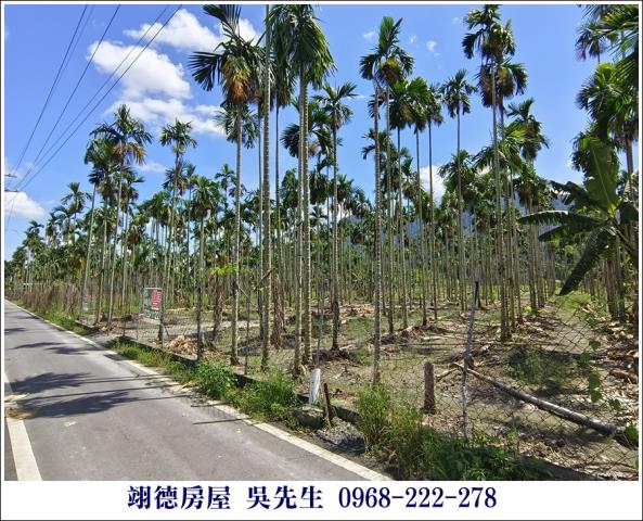 高樹農地-2