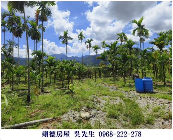 高樹農地-4
