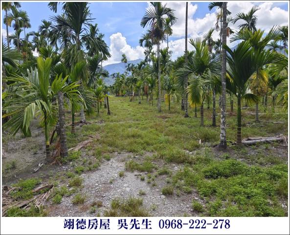 高樹農地-1