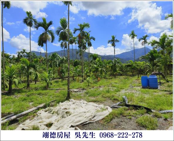 高樹農地-2