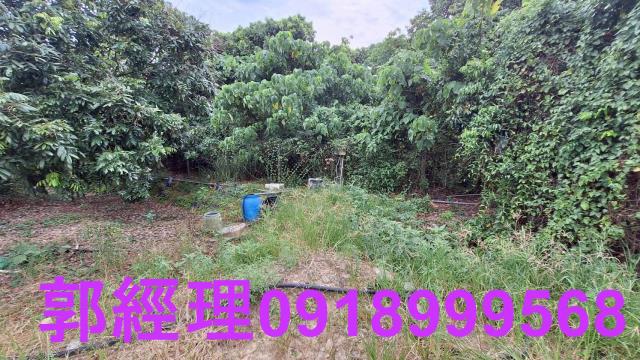 官田農地-11